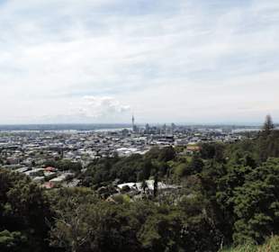 Blick vom Vulkan über Auckland