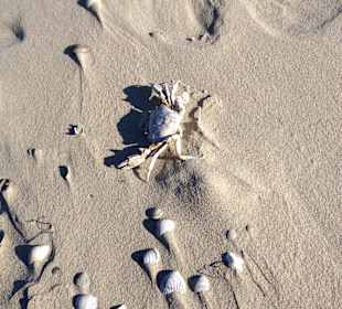 Der Natur ganz nah... Entspannung pur..