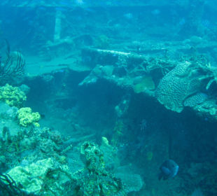 Wrack Leslie M. / St. Lucia