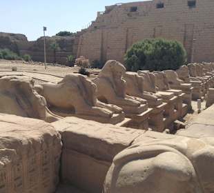 Luxor - Tempel