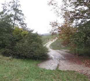 Naturschutzgebiet Listhof
