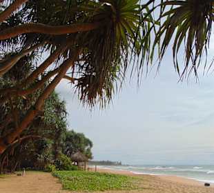Induruwa Beach