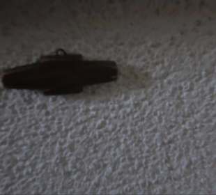 Katholische Peter- und Paulskirche