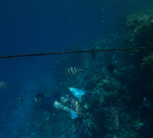 Hotel Sharm Resort