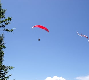 Paraglider