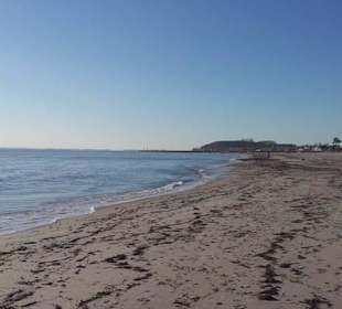 Ostsee / Strand sehr gepflegt