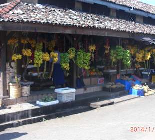 Obstladen in Galle