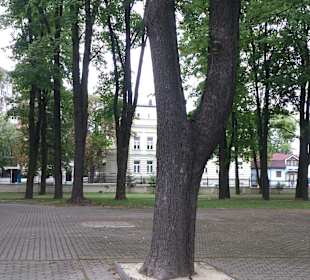 Plac przed kościołem