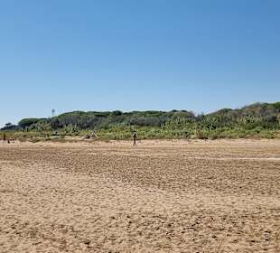 Der Naturschutz von Bibione