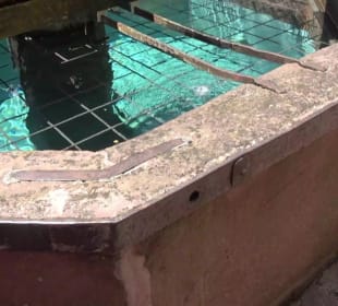 Marktbrunnen Altensteig