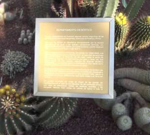 Real Jardín Botánico de Madrid