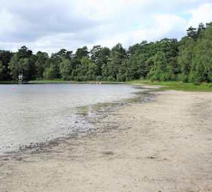 Am Ufer des Großen Bullensees