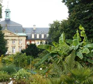 Botanischer Garten