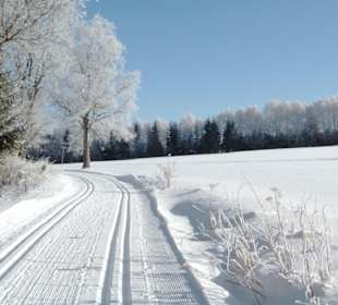 Wandern Mitterfirmiansreut 