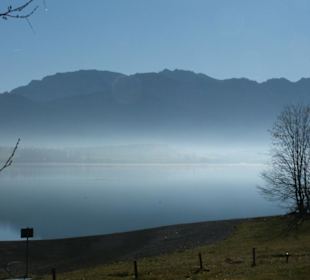 Frühmorgens am Forggensee