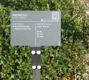 Erläuterungen der Kräuter