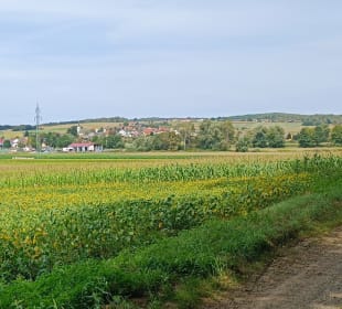 Gerersdorf in Sicht