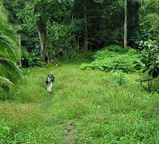 Manzanillo National Park