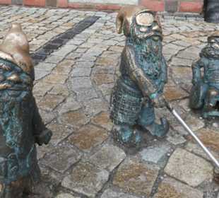 Wrocławskie krasnale – die Breslauer Zwerge