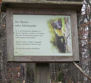 Wildpark Eichert
