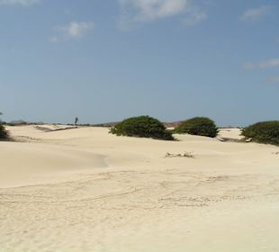 Wüste von Viana