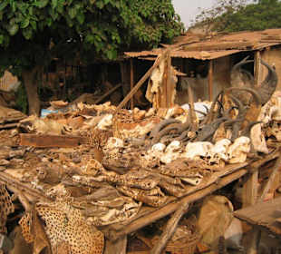 Fetischmarkt in Lome