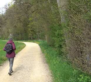 Eiszeitpfad - Burgfelsenpfad