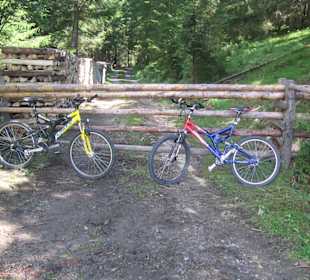 Hindernisse auf den ausgeschriebenen Mountainbike