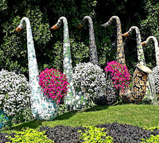 Miracle Garden
