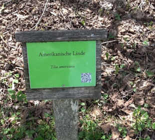 Arboretum