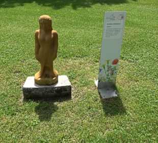 Blühendes Neresheim 2021