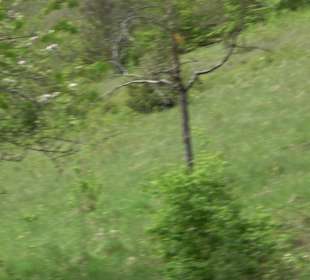 Wandertour durchs Reissenbachtal Oberhausen