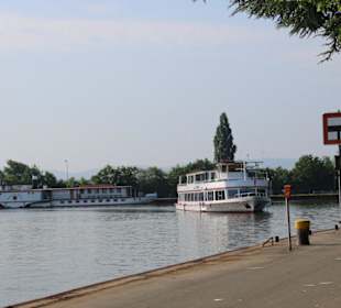 Anlegemanöver MS Poseidon