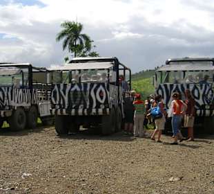 Monster Truck Safari