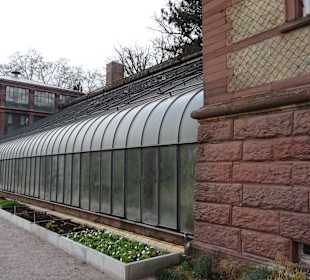 Schloss Karlsruhe Botanischer Garten