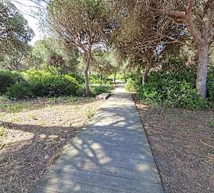 Periurbano de La Barrosa Park