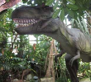 Dinosaurier-Austellung