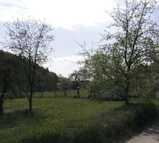 Schneckengarten Weiler