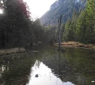Kunst im Falkenssebach