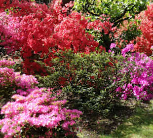 Japanischer Garten Leverkusen