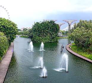 Gardens by the Bay
