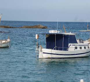 Seele baumeln lassen