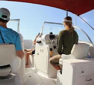 Dolphin Watching and Snorkeling at Key West,FL,