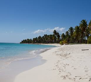 Einsamer Strand mit Seavis 
