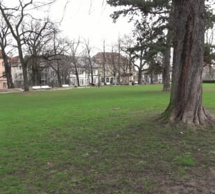 Trinkwasserbrunnen im Park
