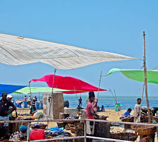 Fischmarkt, Negombo