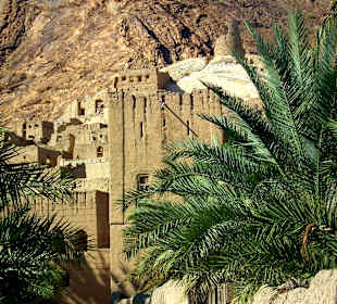 Barkat al Mous