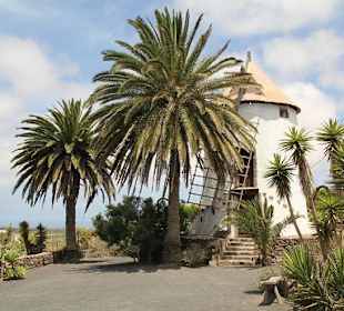Museo Agricola el Patio