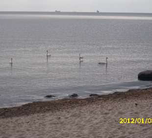 Am Strand von Gdingen