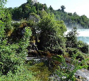 Am Rheinfall